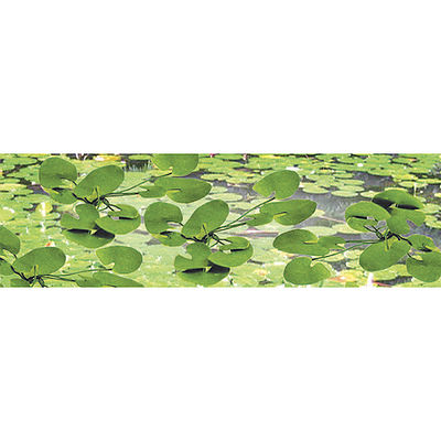 JTT 95537 - HO Lily Pads (12)