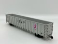 Otter Valley Railroad 6037- N Scale NSC 64 Ft 6000 Cubic Gondola HS - IZZY #2017