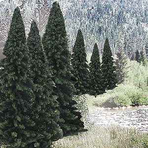 Woodland Scenics 1585 Evergreen Tree Value Pack - Ready Made Trees - Fir 