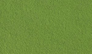 Woodland Scenics 1345 - Fine Turf - Green Grass - Shaker (57.7 in3)