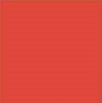 Tru Color Paint 042 - Acrylic - Guilford Orange - 1oz