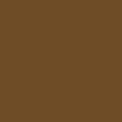 Tru Color Paint 349 - Acrylic - Seasoned Brown Wood- 1oz