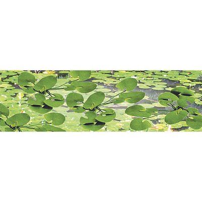 JTT 95537 - HO Lily Pads (12)