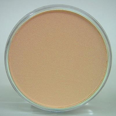 Panpastel 27408 Model & Miniature Color: 9ml pan (D) Burnt Sienna Tint