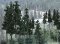 Woodland Scenics 1582 - Ready-Made Trees, Value Pack - Conifer Trees, 6-8 inches (12pk)