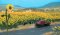 Busch 6003 HO Sunflower Field - Parts for 60 Flowers w/Bases