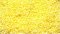 Scenic Express 6312 - Flowering Blossom - Shaker 16oz - Maize Yellow