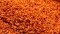 Scenic Express 6342 - Leaf Flakes - Shaker 16oz - Rusty Orange