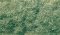 Woodland Scenics 635 - Static Grass Flock 57.7 in(3) - Medium Green