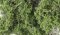 Woodland Scenics 1131 - Fine-Leaf Foliage - Medium Green (75 in3)