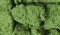 Woodland Scenics 58 - Foliage Clusters - Medium Green (50.8 in3)