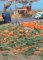 Walthers SceneMaster 1115 - HO Pumpkin Patch - Kit (88pcs)